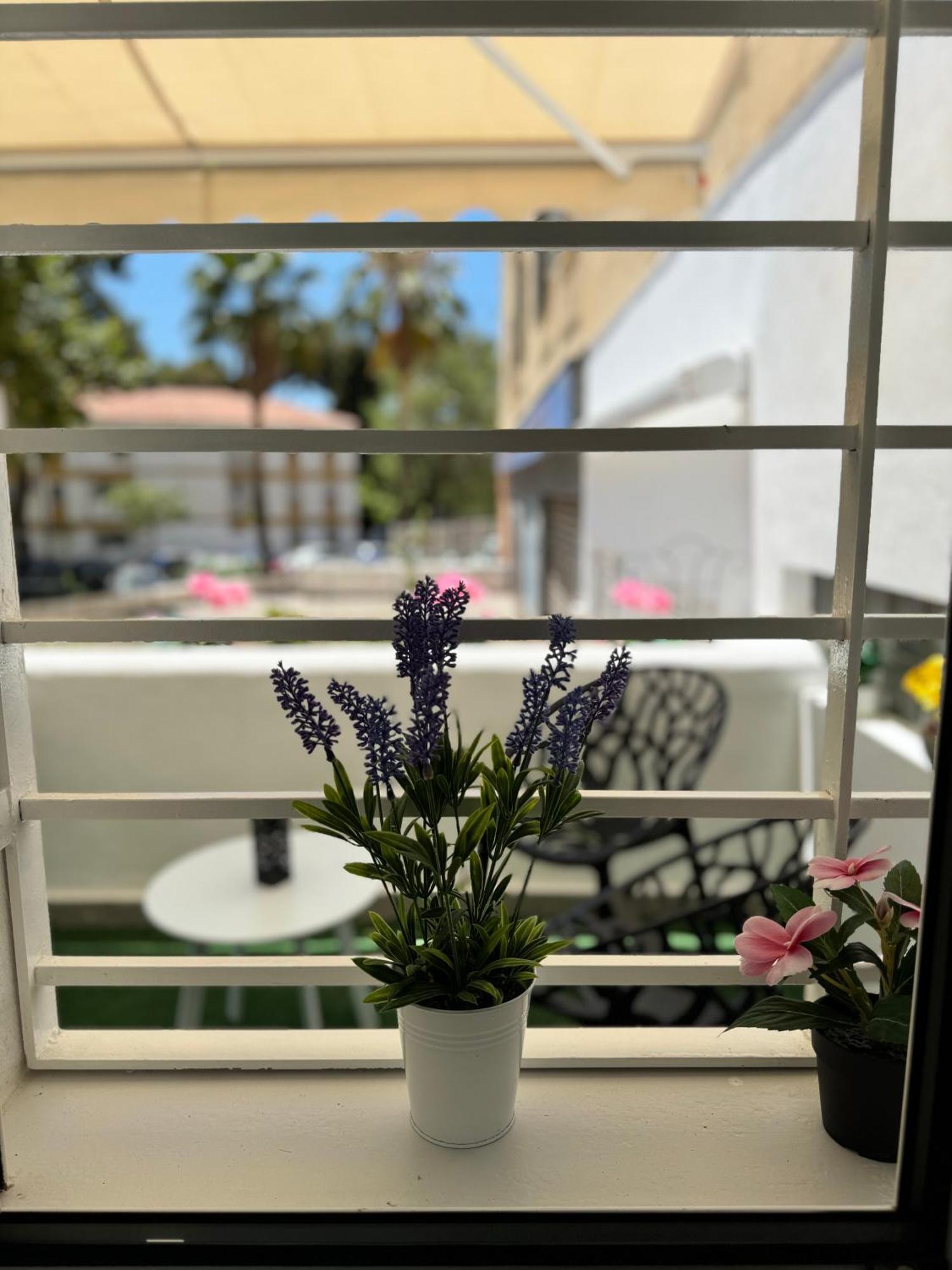 Appartement Cascada Magnificent Recently Refurbished In Center - Eaw Homes *